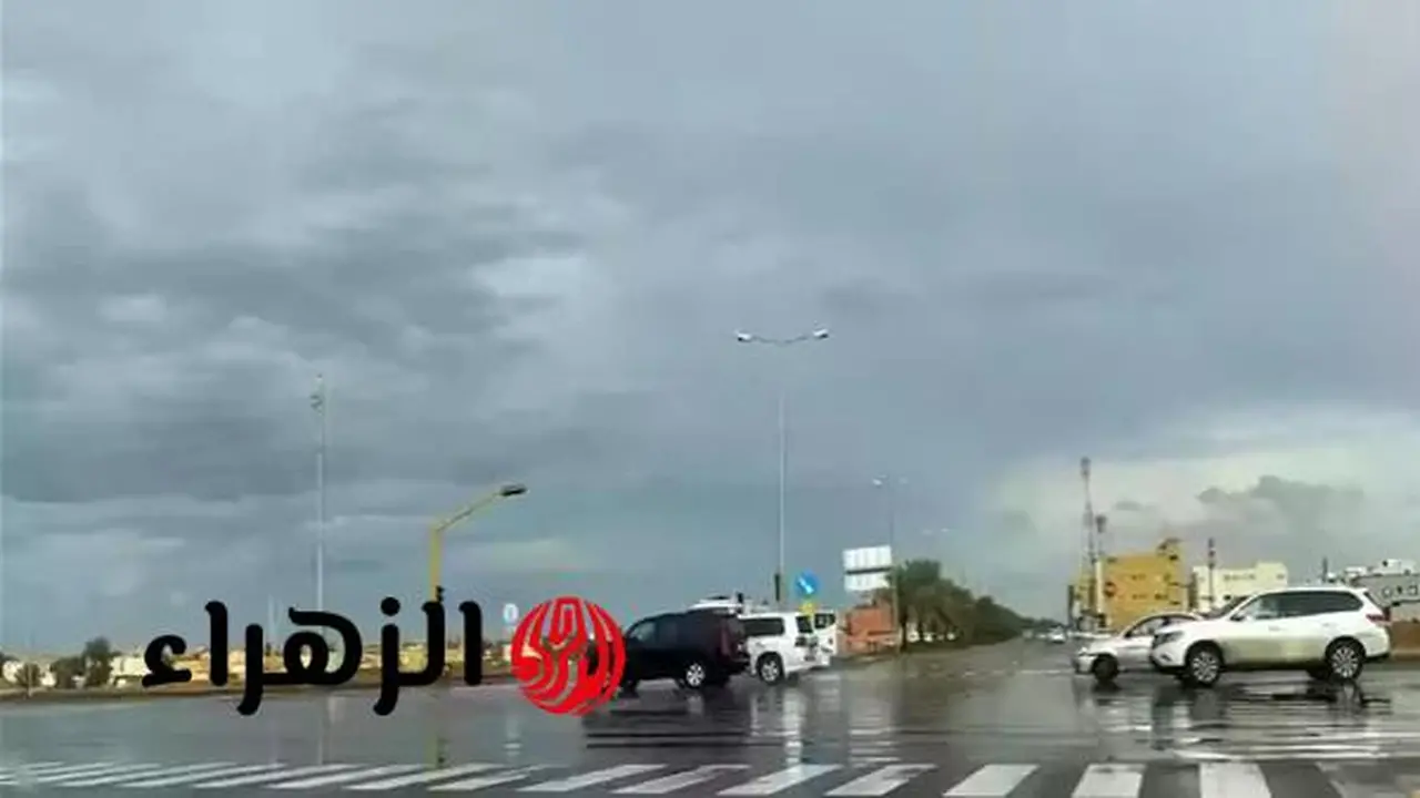 تحذير الأرصاد.. أمطار غزيرة وضباب كثيف يضرب 5 محافظات خلال الساعات المقبلة